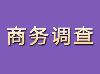 乌兰察布商务调查